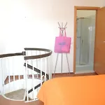 Biloba بيبيوني